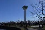 五稜郭タワー