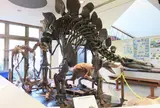 御所浦白亜紀資料館