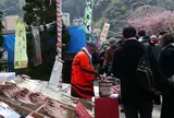 河津駅から桜並木まで