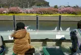 河津三郎の足湯処