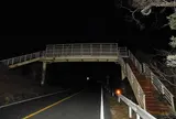 日本平パークウェイの歩道橋