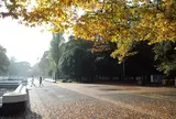 代々木公園