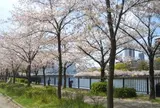 毛馬桜之宮公園