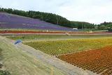 ファーム富田
