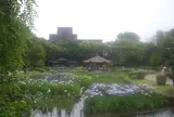 城北菖蒲園