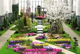 奇跡の星の植物館