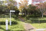 舞洲緑地