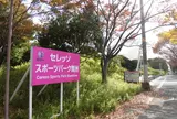 セレッソ舞洲人工芝グラウンド