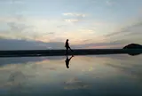 父母ヶ浜海岸