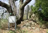 獄山城跡