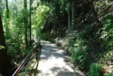 奥多摩「むかし道」