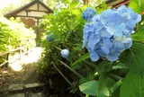 藤森神社