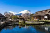 忍野八海