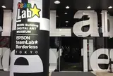 デジタルアート ミュージアム（MORI Building Digital Art Museum: EPSON teamLab Borderless）