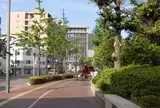 蔵本通りの屋台