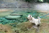 木の俣渓谷
