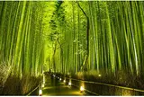 嵐山