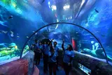 シーライフ ナゴヤ