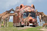 アフリカンサファリ