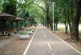 多摩湖自転車道(サイクリングロード)
