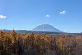 メープル街道393