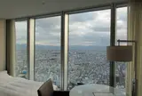 大阪マリオット都ホテル
