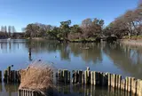 旧勝海舟邸洗足軒跡