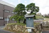 家康公鎧掛松