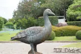 弥富野鳥園