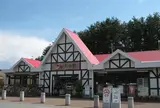 八ヶ岳PA (下り) 赤岳