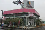 キャッツカフェ多治見店