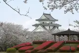 天ケ城公園