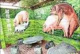 猪哥窟、猪母巷