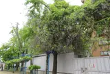 下福島公園