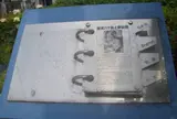 難波八十島と野田藤
