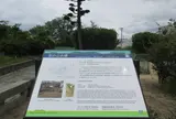 定の山古墳