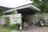 カフェ イロハ
