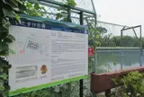いたすけ古墳