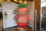 丹波竜化石工房ちーたんの館