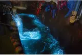 ほたるいかミュージアム