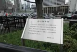 花の散歩道