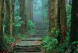 熊野古道　大門坂
