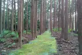 筏師の道