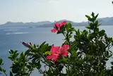 玉取崎展望台