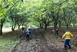 まる八いけだ農園