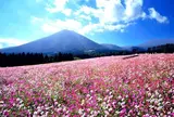 生駒高原