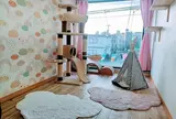 猫専用ペットホテル『ねこべや羽田空港店』
