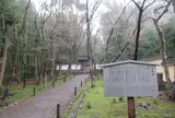 地蔵院（竹の寺）
