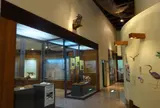 西表野生生物保護センター（西表島）