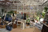 ドーバー